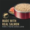 Purina Pro Plan Sensitive Skin & Stomach Wet Dog Food Classic Salmon & Rice Entree